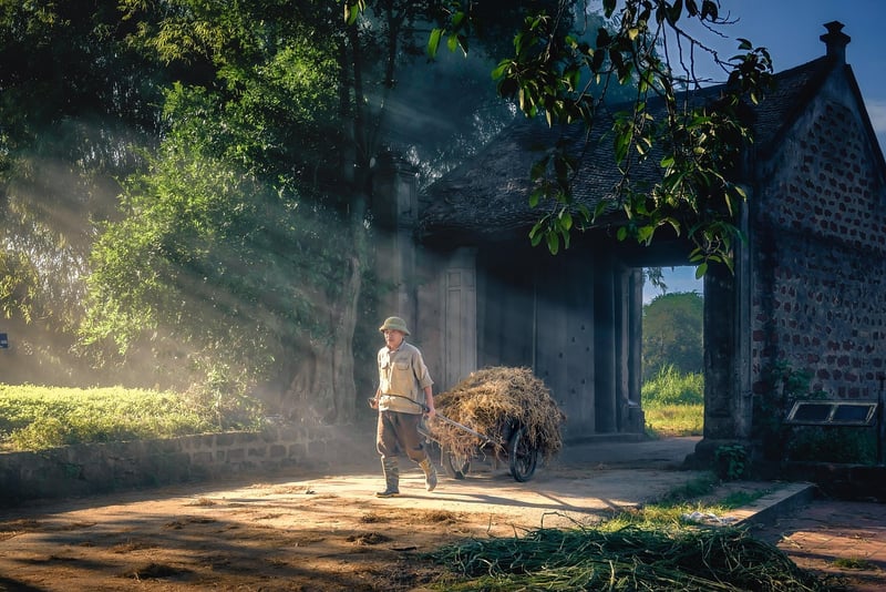 Temporal Transporters